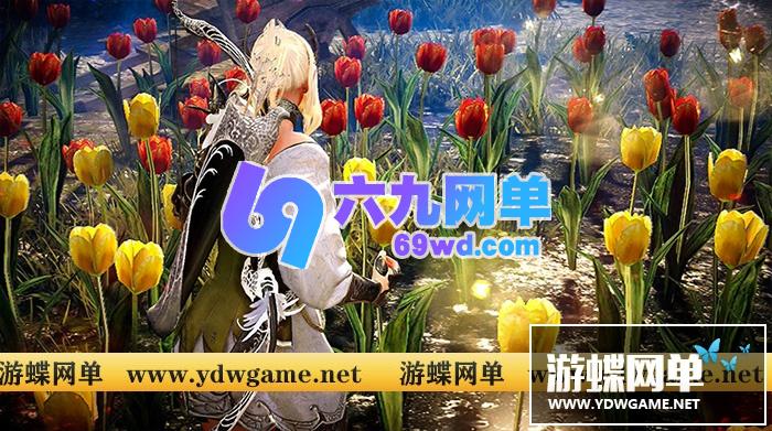 图片[1]-六九网单黑色沙漠602中文台服单机版完整端商城全免费任务全修复-六九网单