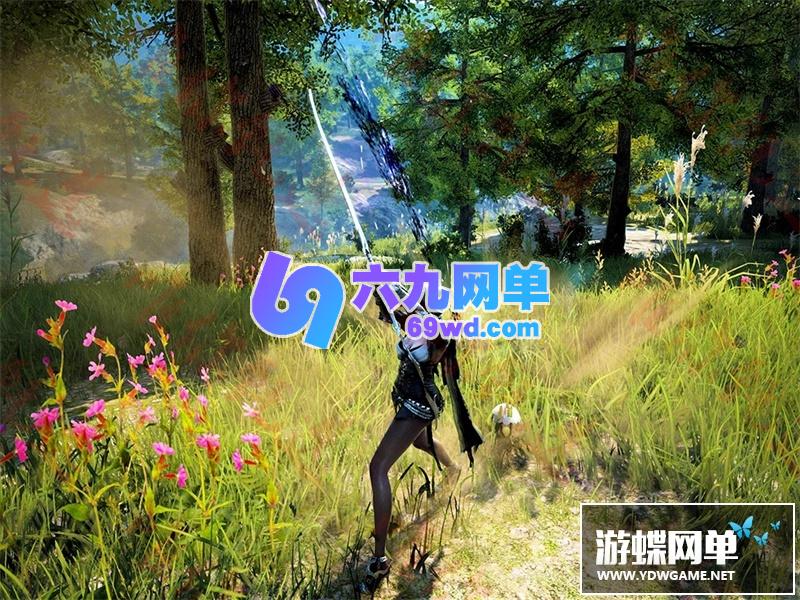 图片[34]-六九网单黑色沙漠单机版第二版免安装精品稀有完整一键端网单-六九网单