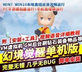 六九网单可爱Q版风格动作手游幻境觉醒单机版稀有完整一键服务端GM网单-六九网单