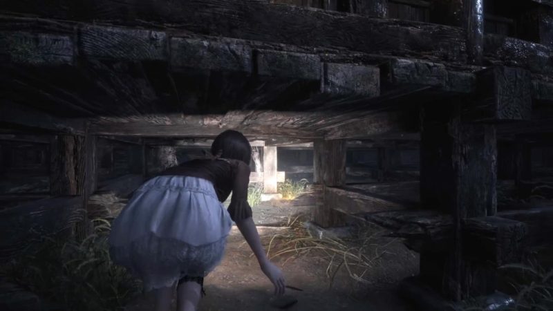 新预告来袭！《零红蝶：重制版》确定于2026年3月12日发售-六九网单