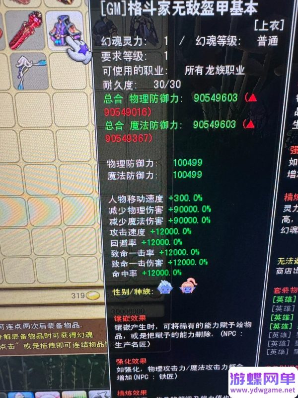 图片[8]-梦幻龙族2单机版全新沙漠端4大陆稀有完整一键端带GM工具-六九网单