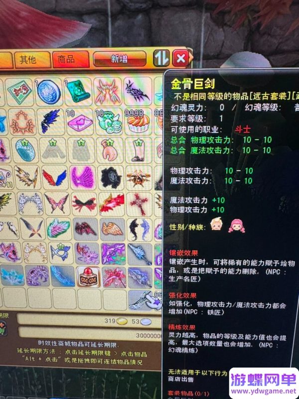 图片[9]-梦幻龙族2单机版全新沙漠端4大陆稀有完整一键端带GM工具-六九网单