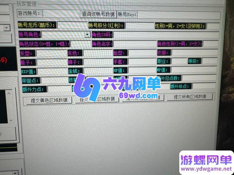 图片[6]-梦幻龙族2单机版全新沙漠端4大陆稀有完整一键端带GM工具-六九网单