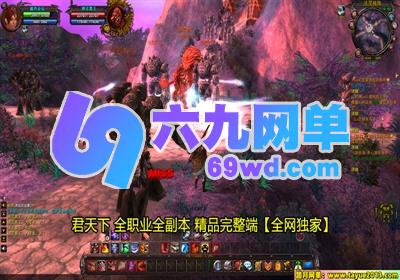 图片[2]-君天下单机版 一键服务端+完美技能/商店/副本 稀有完整端-六九网单