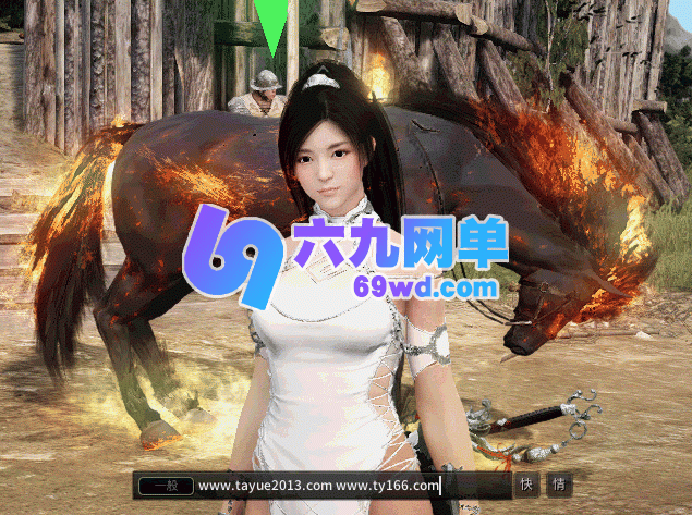 图片[5]-黑色沙漠2100版局域网单机一键端 新增兰/巡林者/女斗神 稀有完整端-六九网单